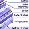 Hirnhaut Hirnhaut